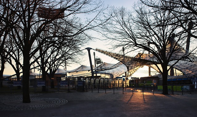 胆且和谐 胆且和谐